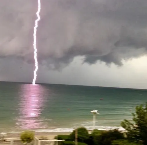 Апартаменты Bellevue *